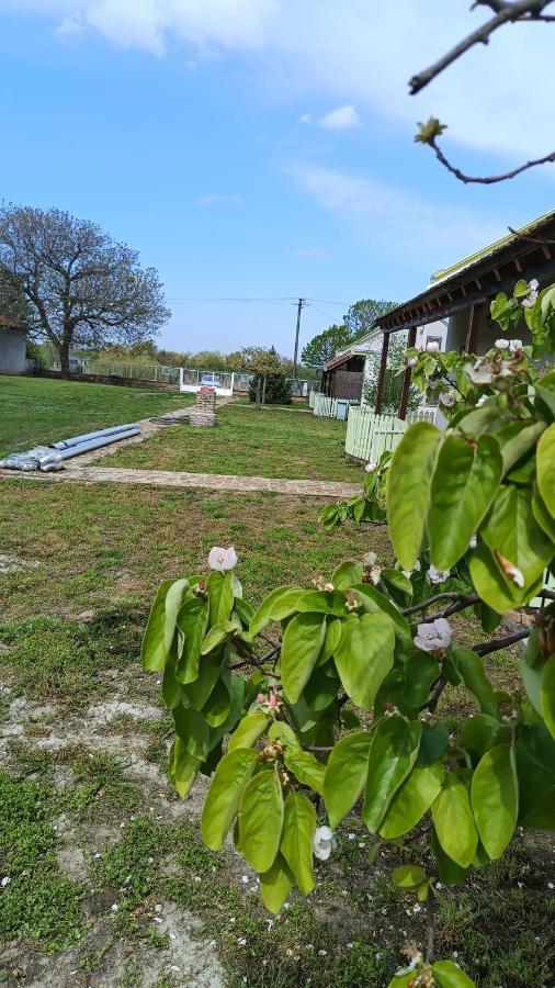Villa Diiva Curug Exterior foto
